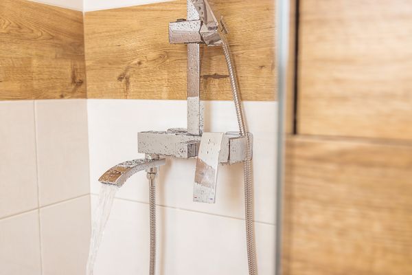 Cost of Shower Plumbing Installation in Zionsville